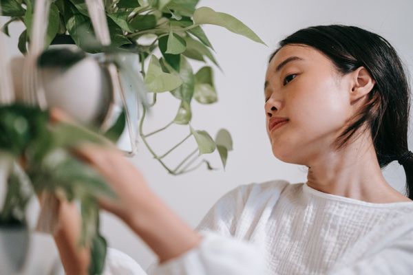 年轻女性手中捧着一盆绿植，表情温柔放松